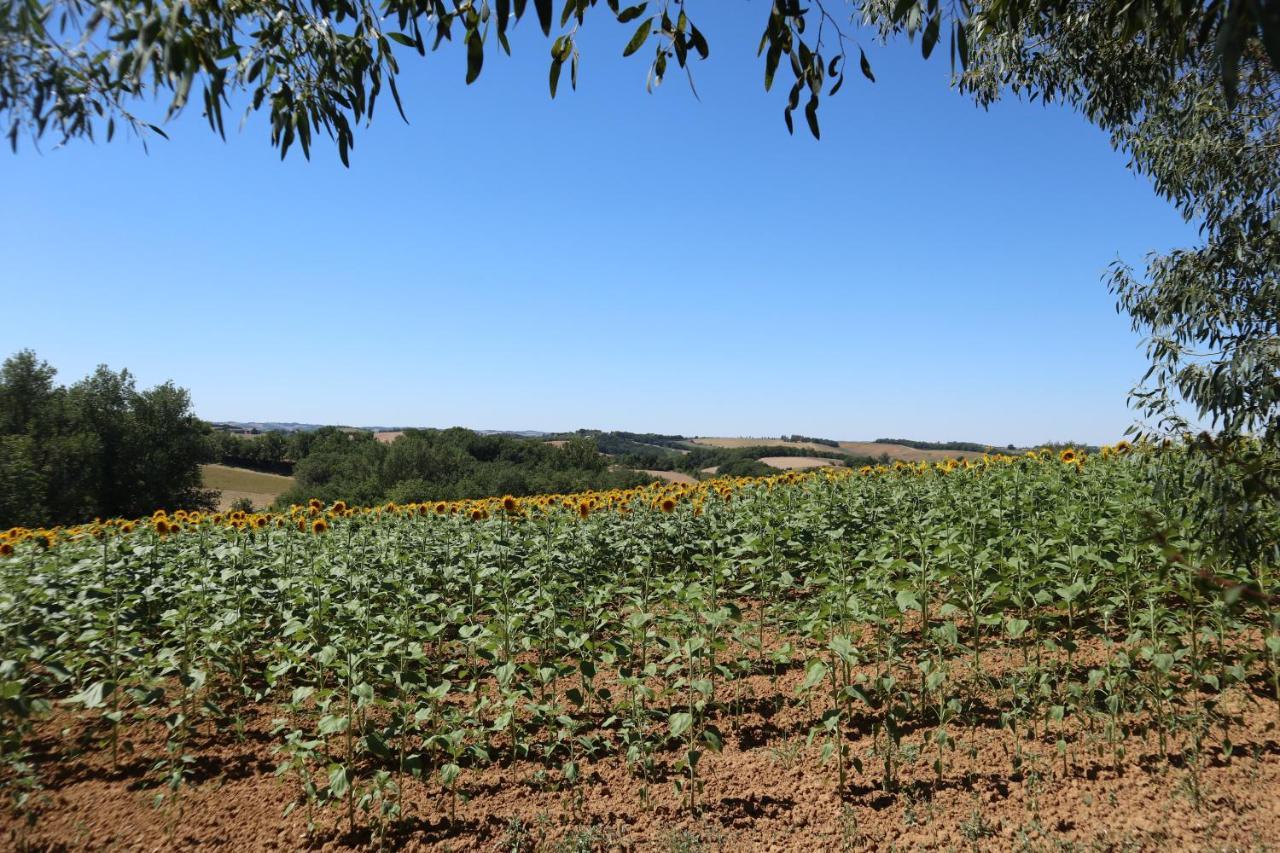 Le Clos Mirelie Gaujac  外观 照片
